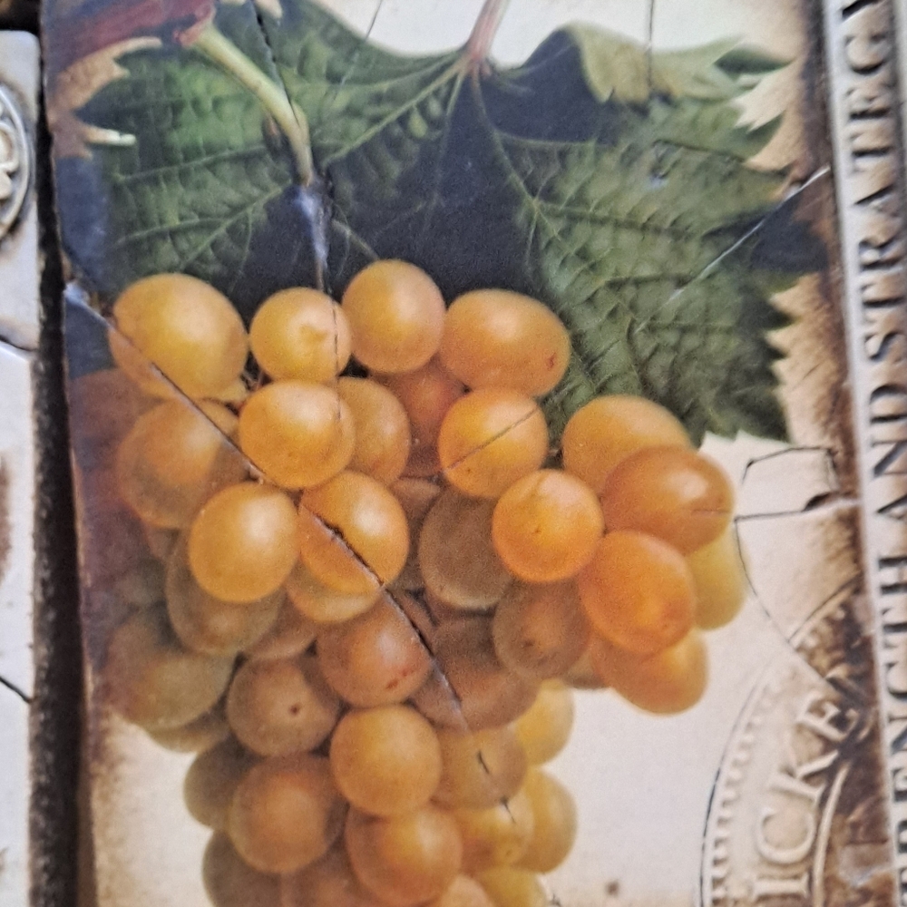 2003 Sid Dickens Memory Wall Tile Block Retired Grapes 6 x 8 in. T-110 RARE